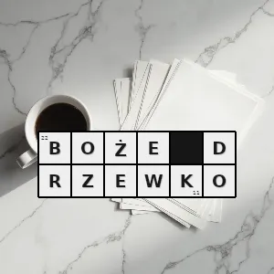 Rozwiązanie krzyżówki: choinka strojona na boże narodzenie - boże drzewko | hasła, synonimy i podpowiedzi Hasło krzyżówkowe choinka strojona na boże narodzenie - boże drzewko – rozwiązanie, synonimy, podpowiedzi i definicje krzyżówkowe